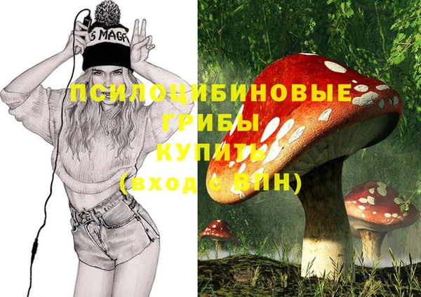 таблы Алзамай