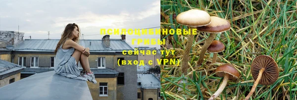 трава Алексеевка